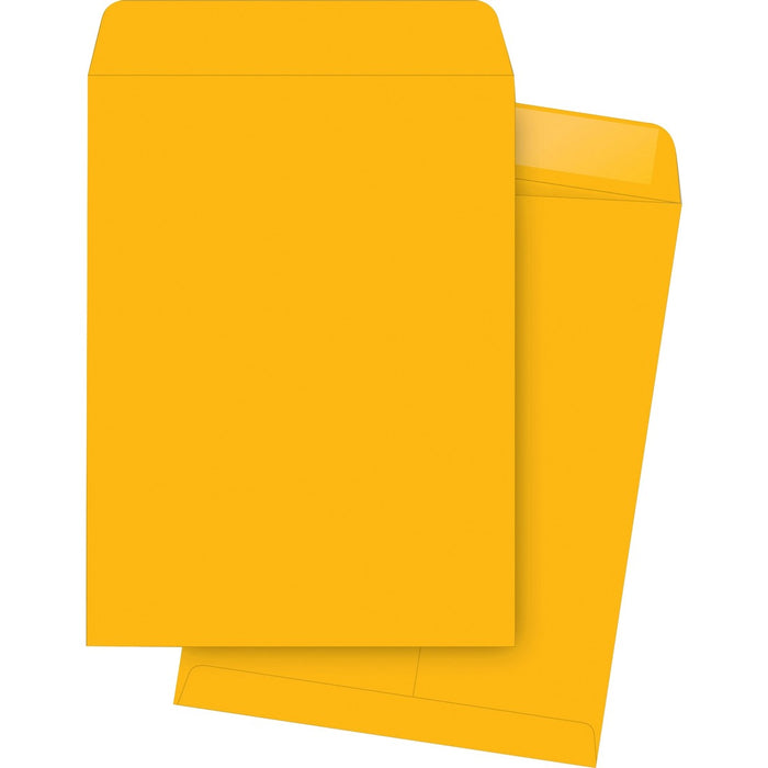 Business Source Kraft Gummed Catalog Envelopes 10 x 13, 250/box