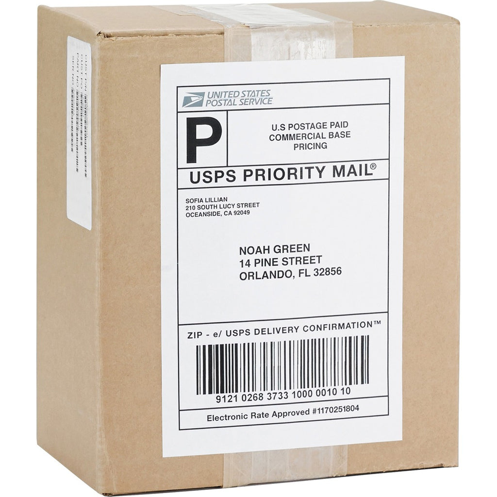 Business Source Bright White Premium-quality Internet Shipping Labels — The  Supply Room